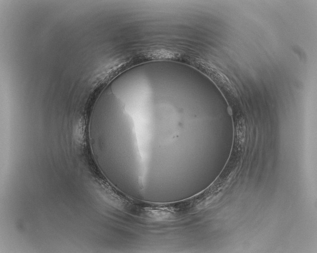 X0000116020359200911201239