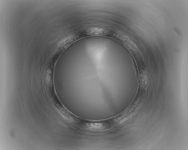 X0000116020361200911201239