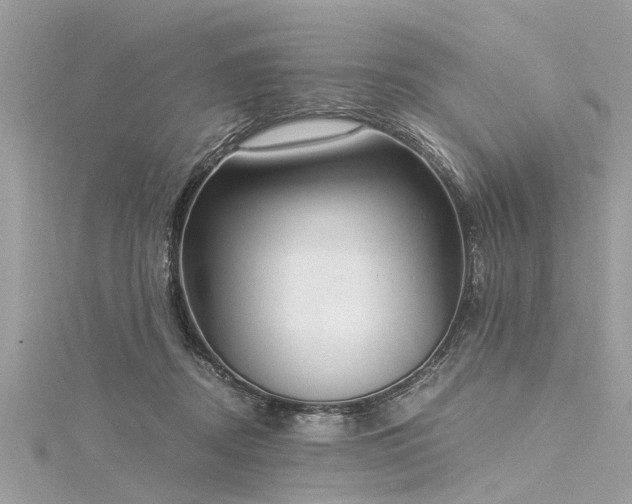 X0000116020362200911201239