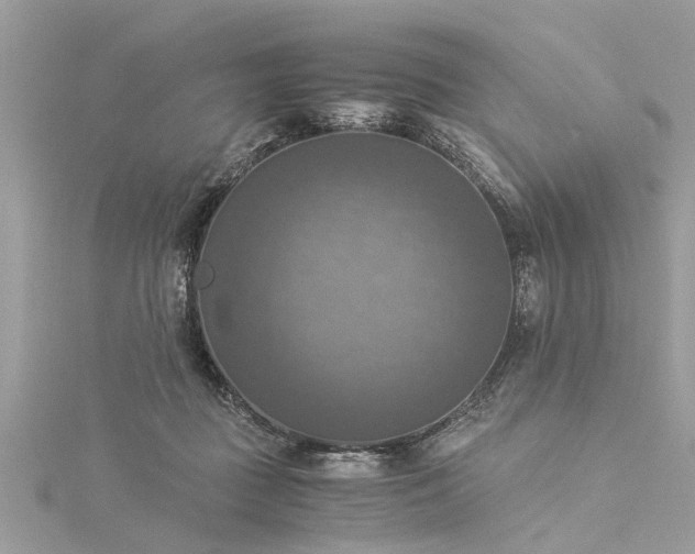 X0000116020363200911201239