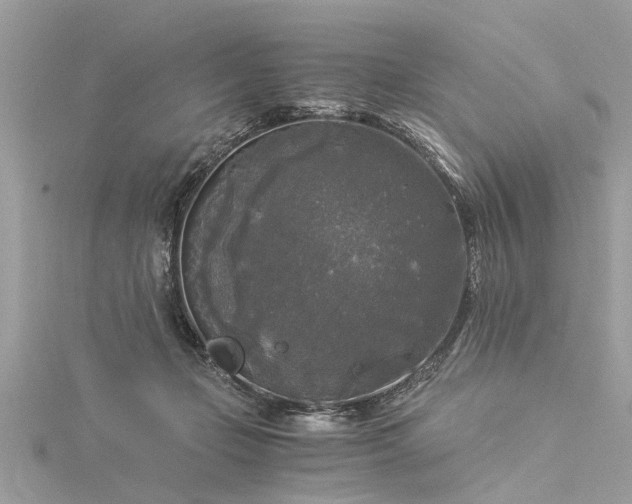 X0000116020365200911201239