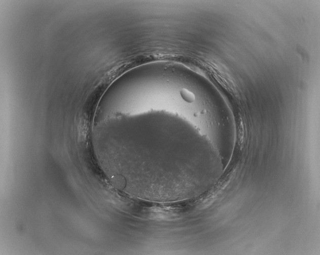 X0000116020367200911201239