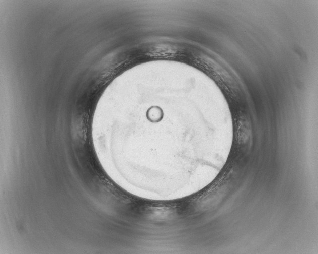 X0000116020370200911201239