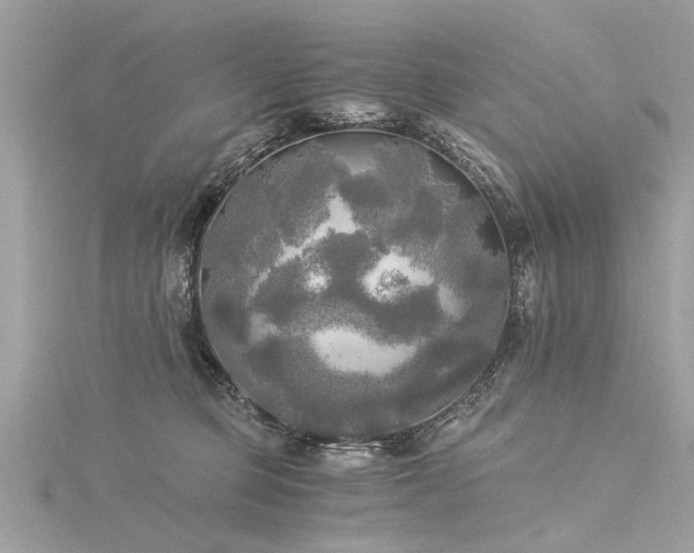 X0000116020373200911201239