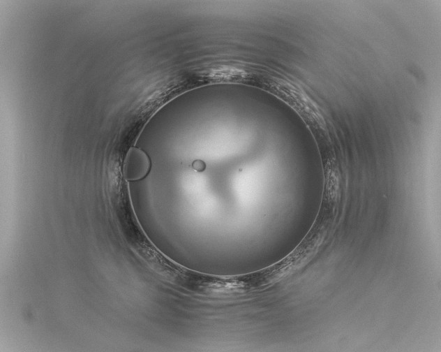 X0000116020375200911201239