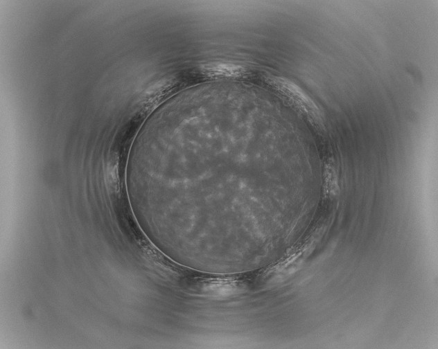 X0000116020377200911201239