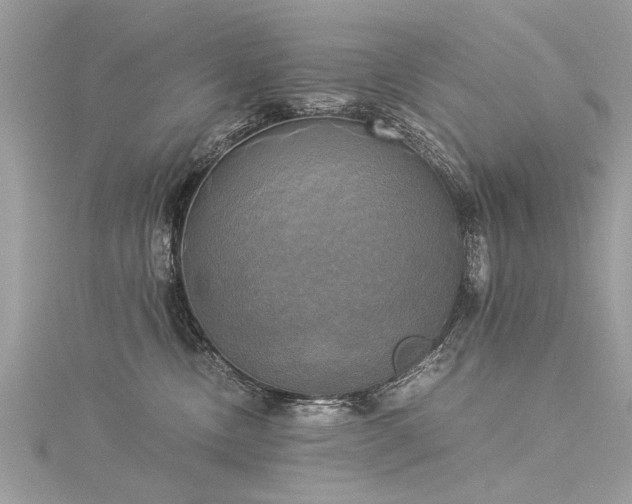 X0000116020378200911201239