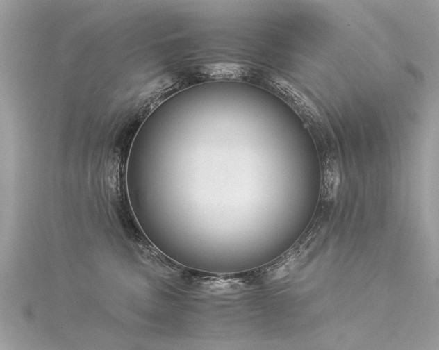 X0000116020379200911201239