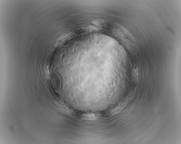 X0000116020381200911201239