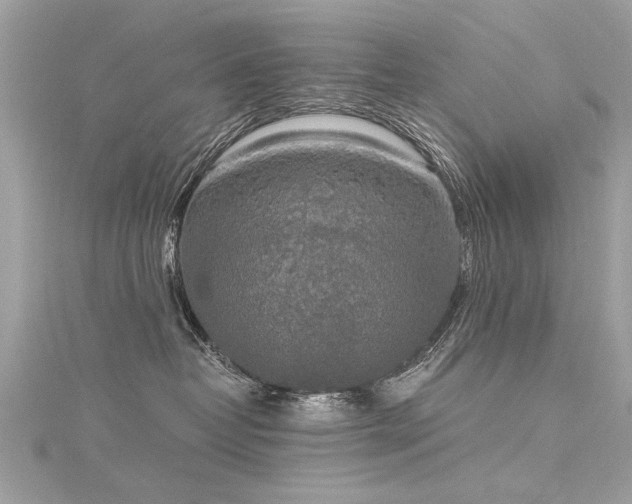 X0000116020382200911201239