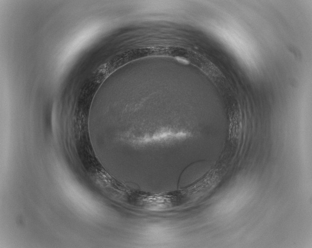 X0000116020383200911201239