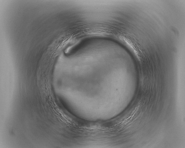 X0000116020385200911201239