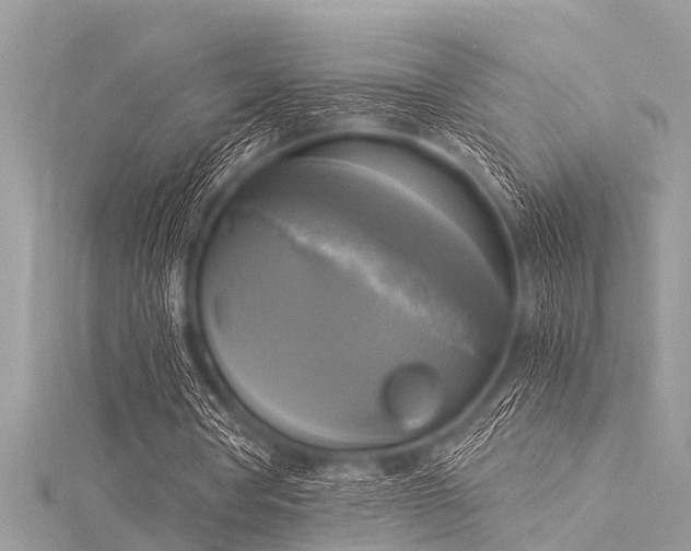 X0000116020386200911201239