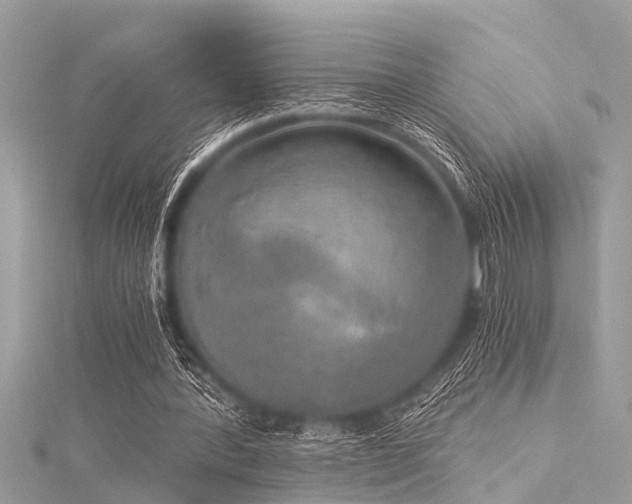 X0000116020388200911201239