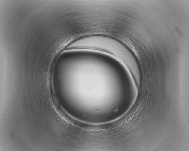 X0000116020389200911201239