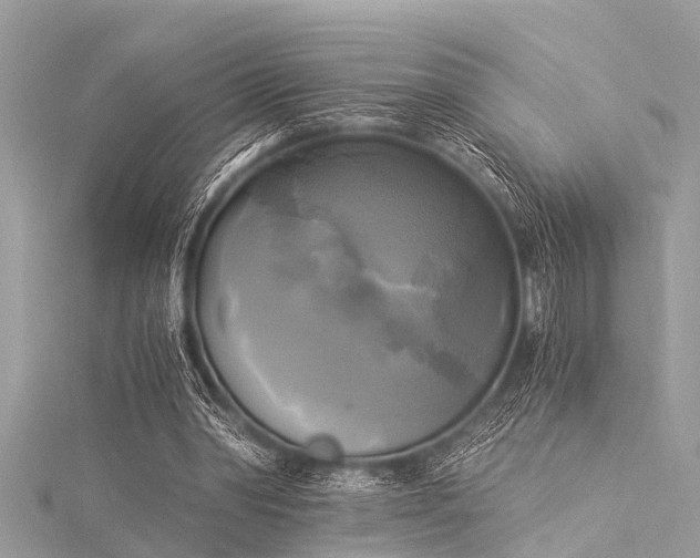 X0000116020390200911201239