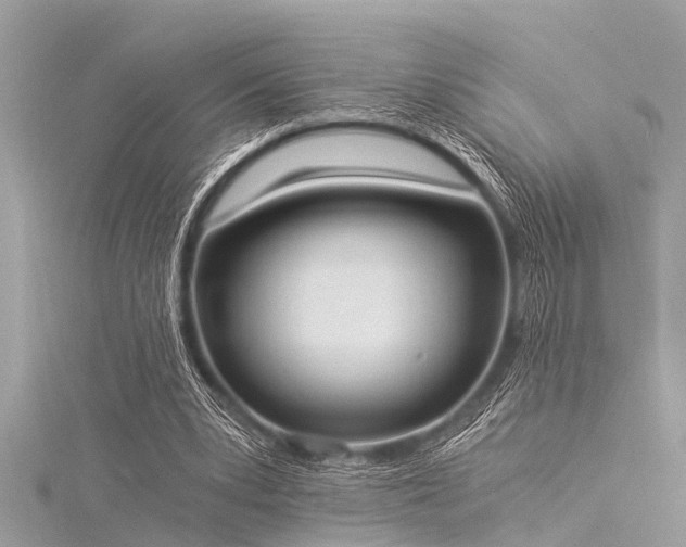 X0000116020391200911201239