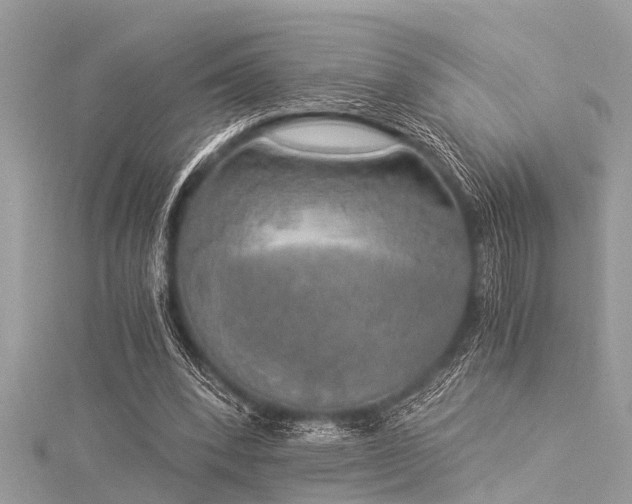 X0000116020392200911201239