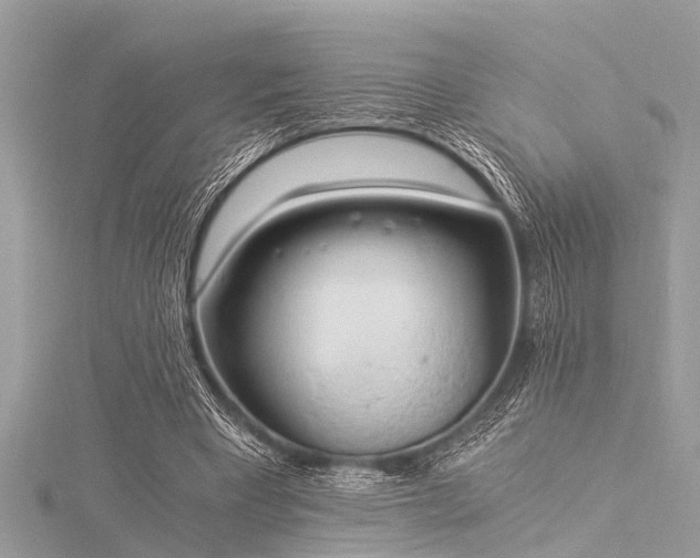 X0000116020393200911201239