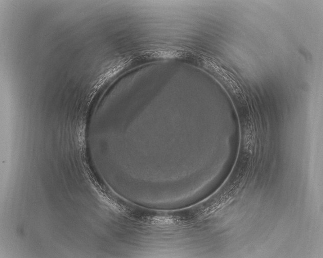 X0000116020394200911201239