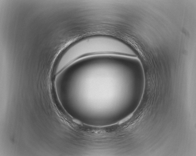 X0000116020395200911201239