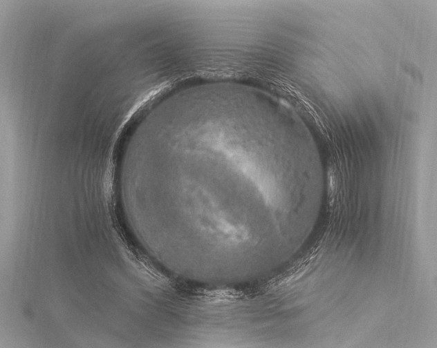 X0000116020396200911201238