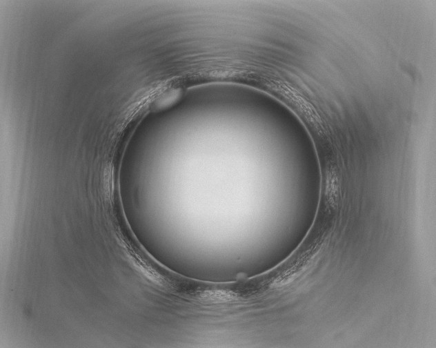 X0000116020397200911201238