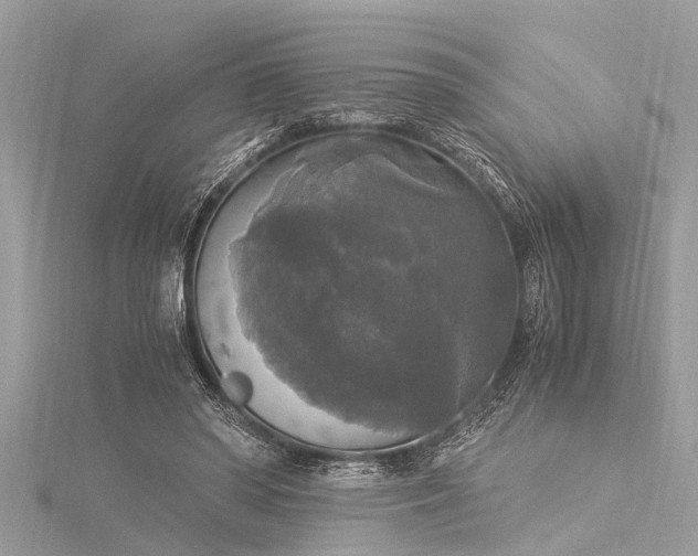 X0000116020398200911201238