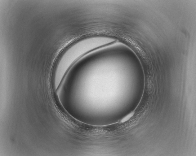 X0000116020399200911201238