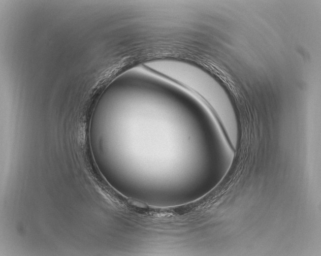 X0000116020401200911201238