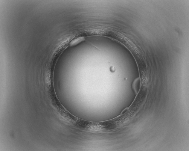 X0000116020403200911201238