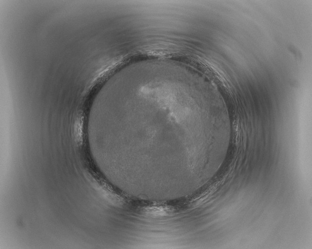 X0000116020404200911201238