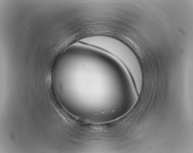 X0000116020405200911201238