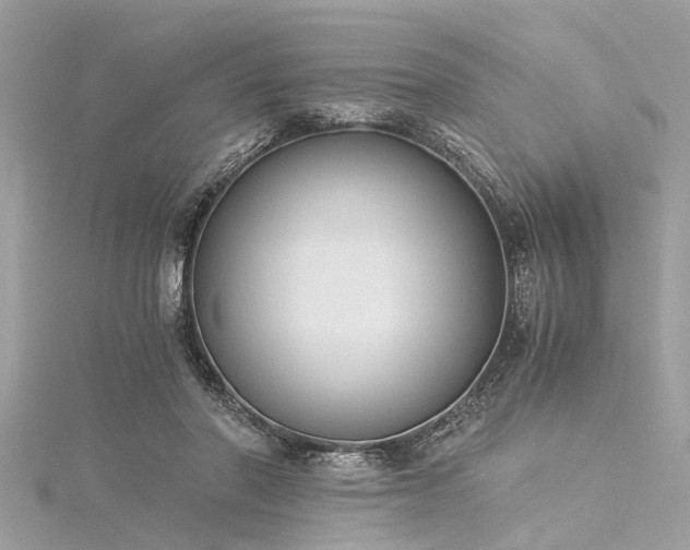 X0000116020406200911201238