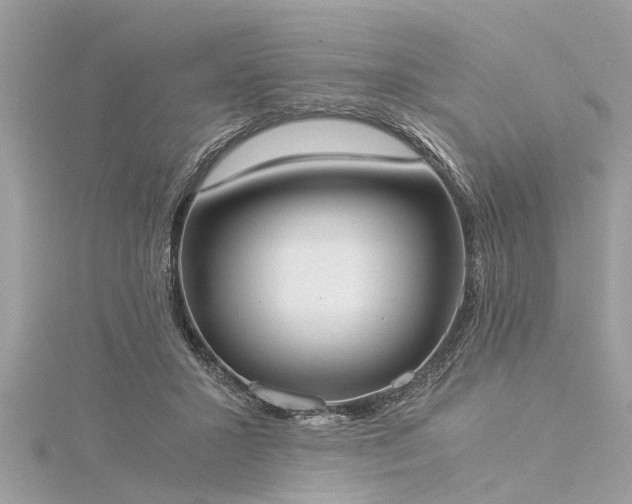 X0000116020407200911201238