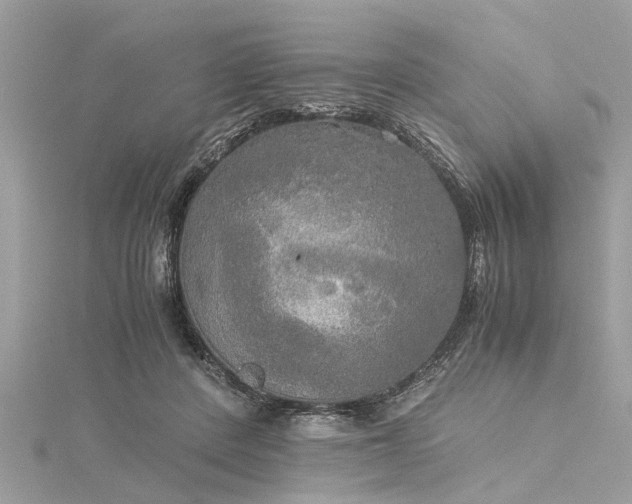 X0000116020408200911201238