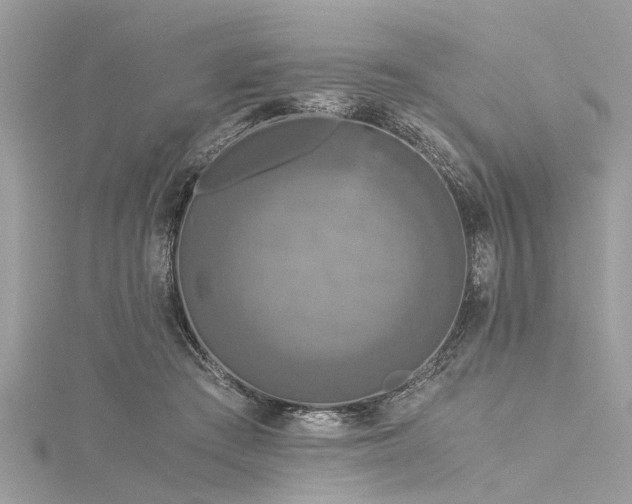 X0000116020409200911201238