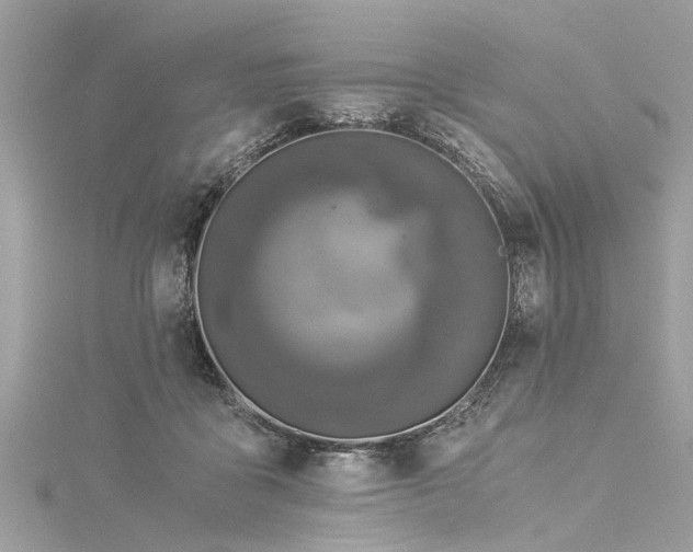 X0000116020411200911201238