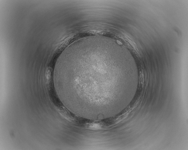 X0000116020412200911201238