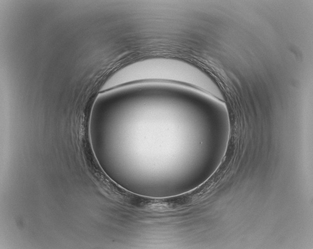 X0000116020413200911201238