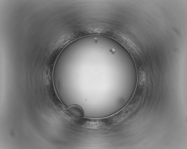 X0000116020414200911201238