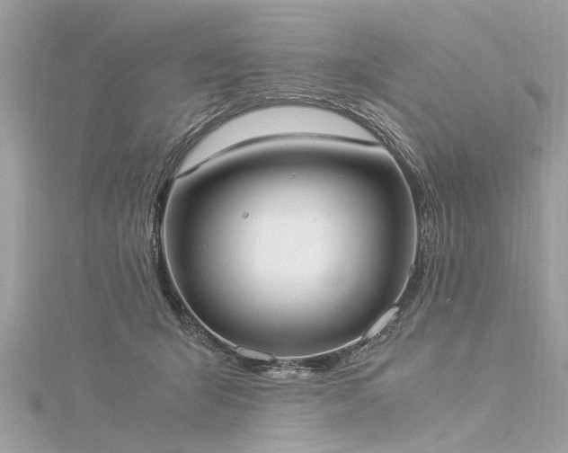 X0000116020415200911201238