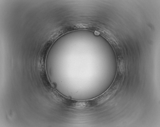 X0000116020418200911201238