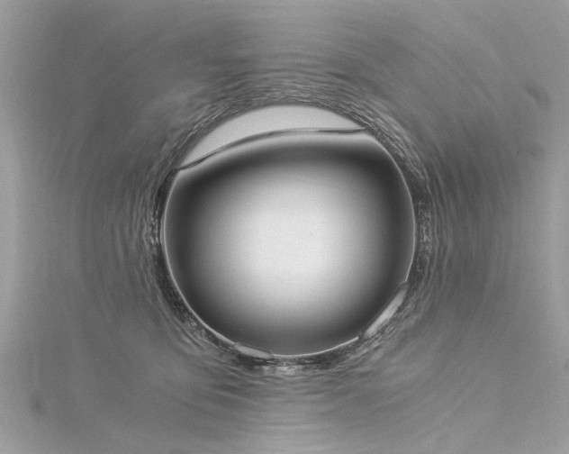 X0000116020419200911201238