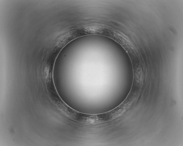 X0000116020420200911201238