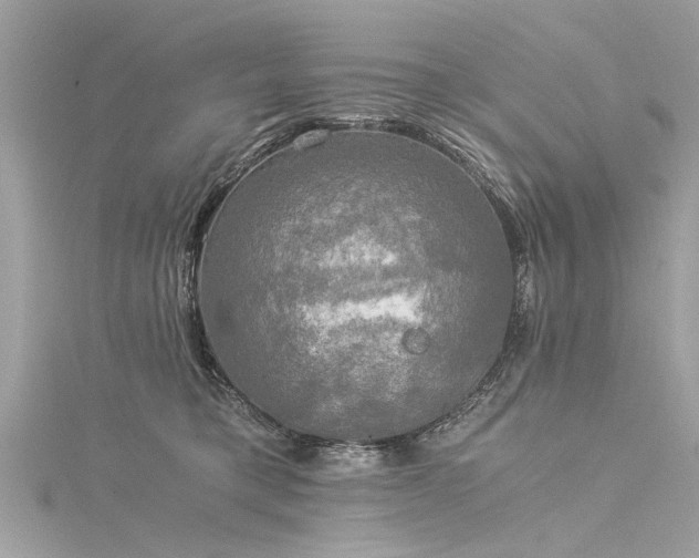 X0000116020421200911201238