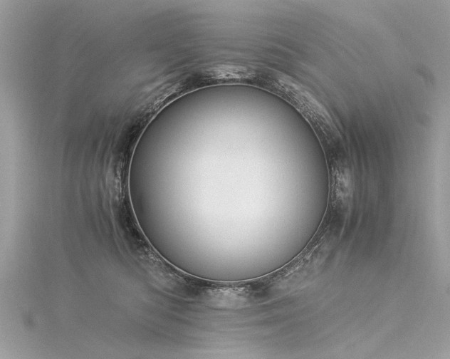 X0000116020422200911201238