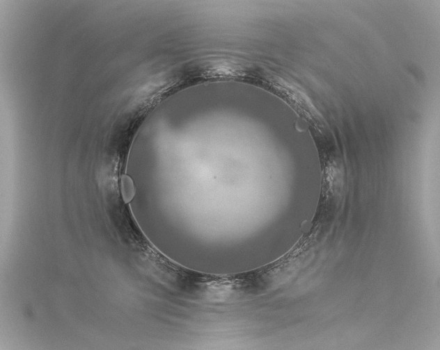 X0000116020423200911201238