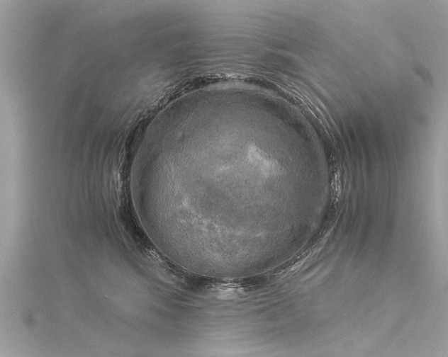 X0000116020424200911201238