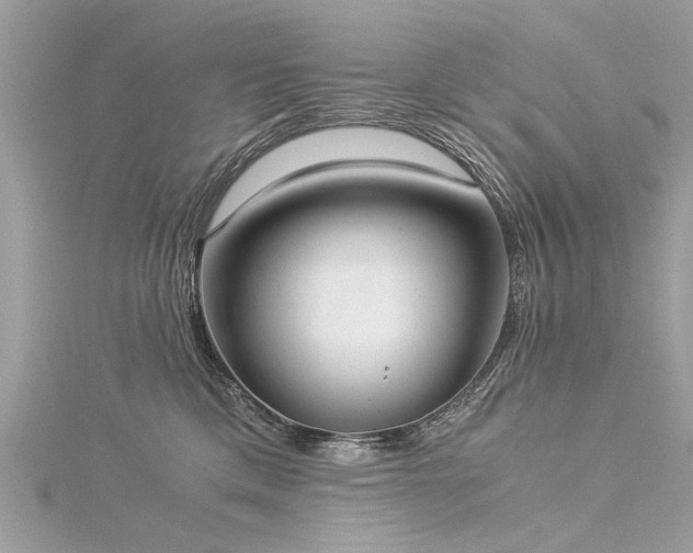 X0000116020425200911201238